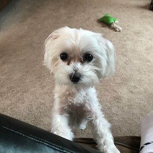 Meet your Posher, Bethany